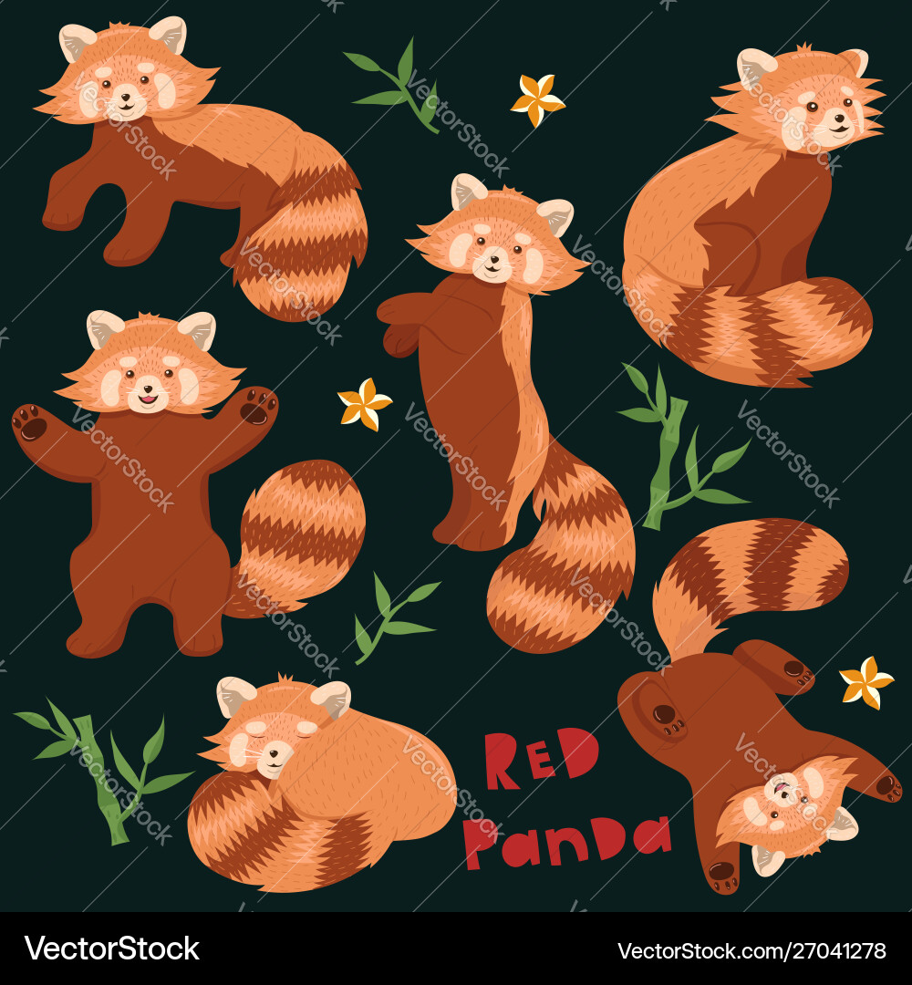 Set red pandas in different poses graphics Set red pandas in different poses graphics vector image