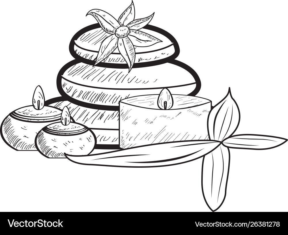 Sketch spa objects vector image