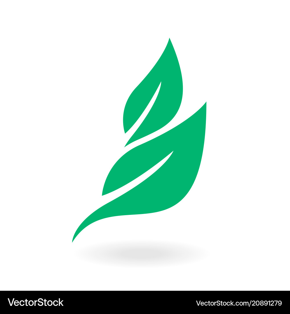Green Leaf Labels Concept Royalty Free Vector Image