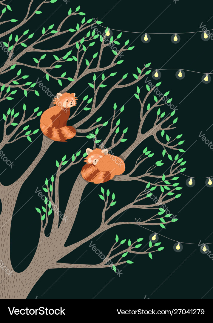 Greeting card with red pandas sitting on a tree Vector Image