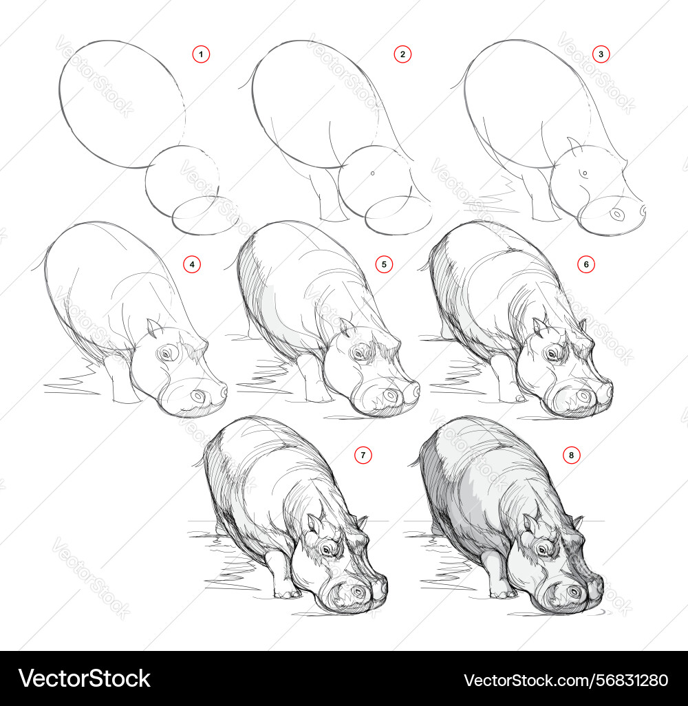 Page shows how to learn draw from life sketch Page shows how to learn draw from life sketch vector image