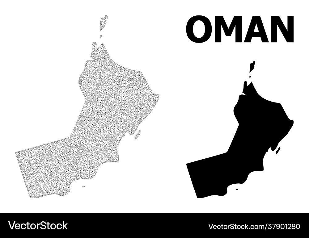 Polygonal 2d mesh high resolution map Polygonal 2d mesh high resolution map Vector Image