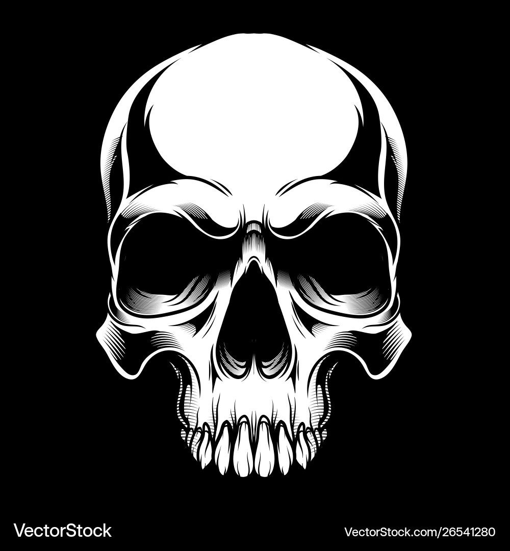 Skull Head Drawing - Horror Art Vector Image