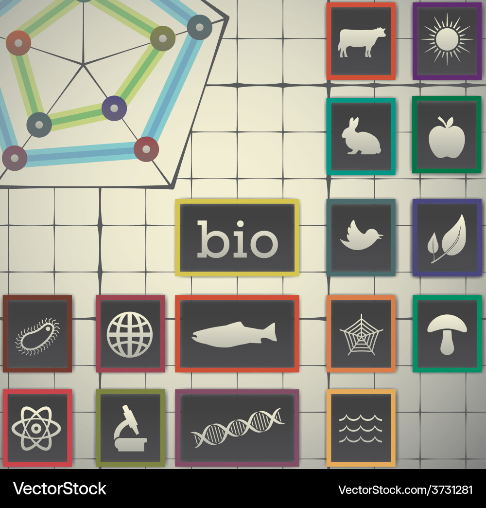 16 infographic elements with graph background vector image