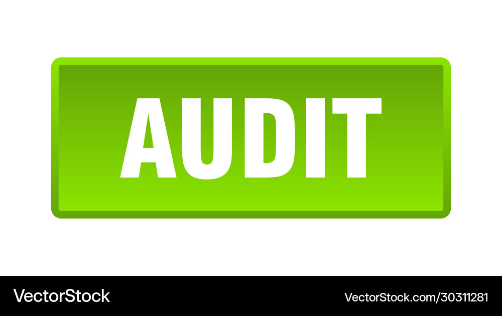 Audit button square green push Vector Image