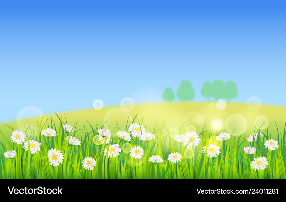 Template background spring field of flowers Template background spring field of flowers Vector Image