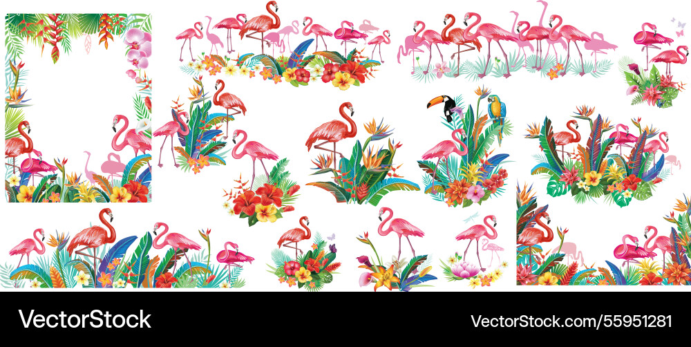 Tropical arrangements with flamingos and flowers Vector Image