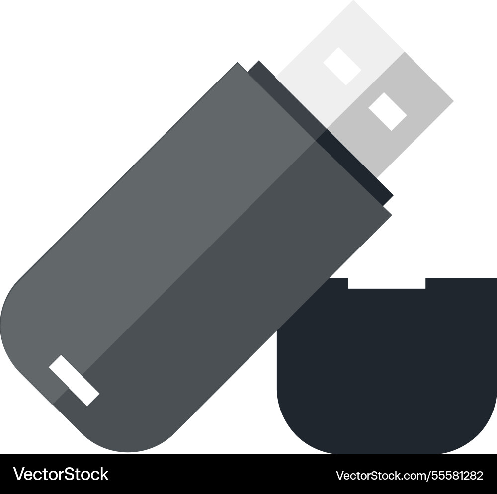 Flash drive flat web icon concept Flash drive flat web icon concept vector image