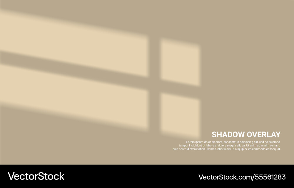 Background design with shadow overlay style Vector Image