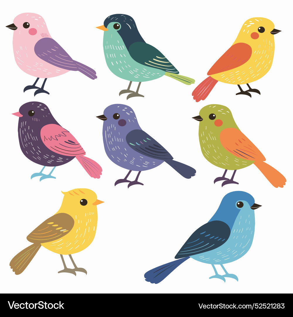 Colorful bird differing color Colorful bird differing color vector image