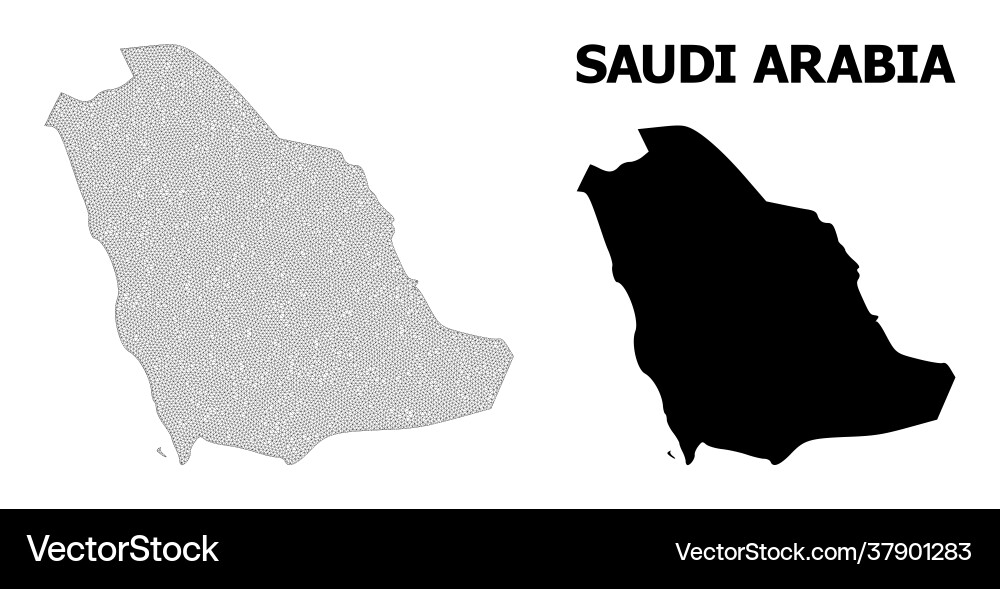 Polygonal 2d mesh high resolution map Vector Image