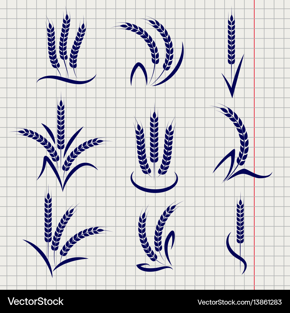 Wheat Branches on Notebook Vector Image
