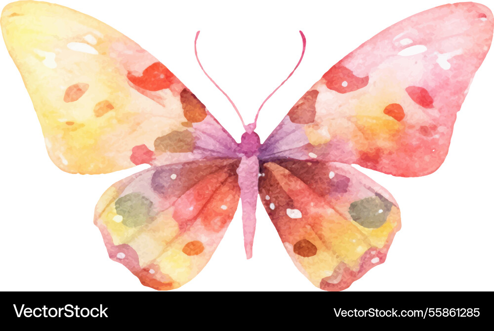 Aquarell bemalte Schmetterling Hand gezeichnetes Design Aquarell bemalte Schmetterling Hand gezeichnetes Design Vektorbild