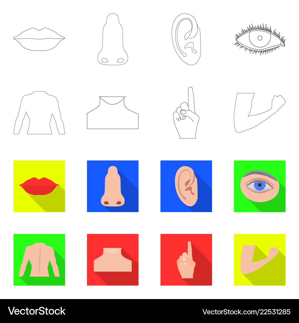 Isolated object of human and part sign set Isolated object of human and part sign set vector image
