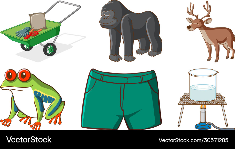 Large set different animals and other objects Large set different animals and other objects vector image