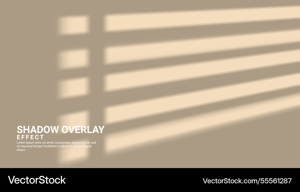 Abstract background with shadow overlay effect Vector Image