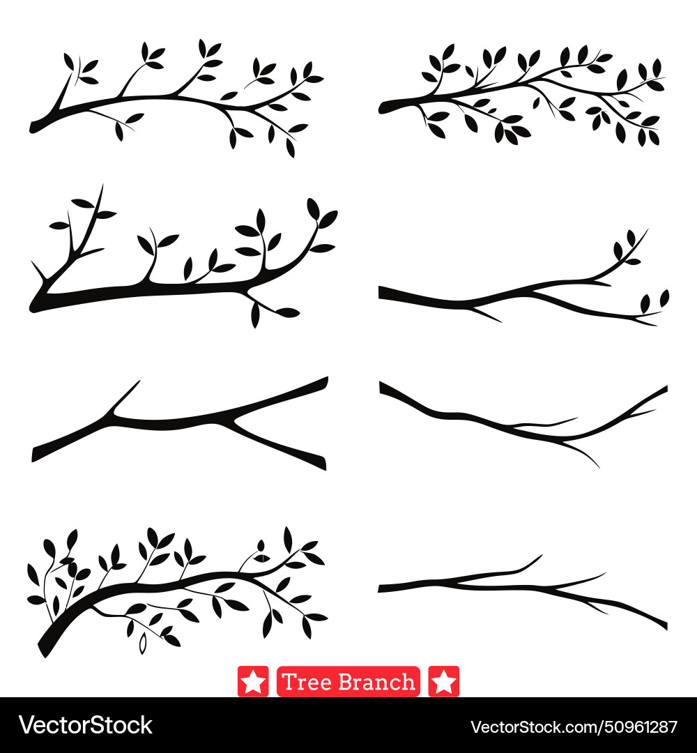 Graceful growth wholesome tree branch set Vector Image