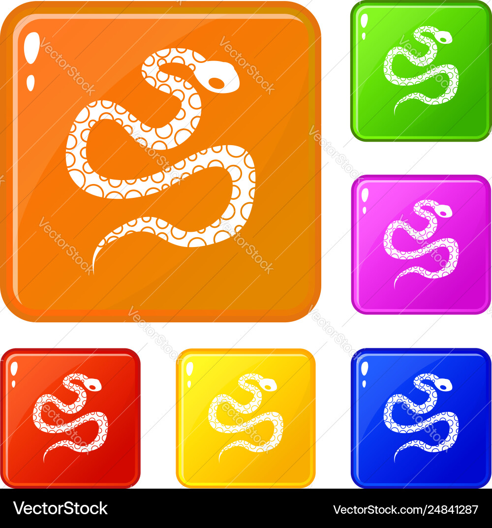 Python snake icons set color Python snake icons set color vector image