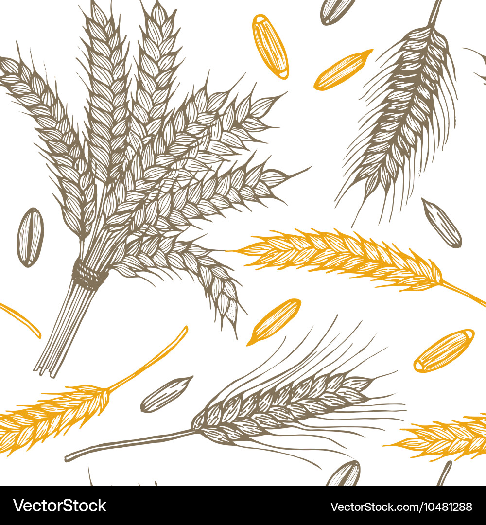 Ears hand draw sketch background pattern vector image