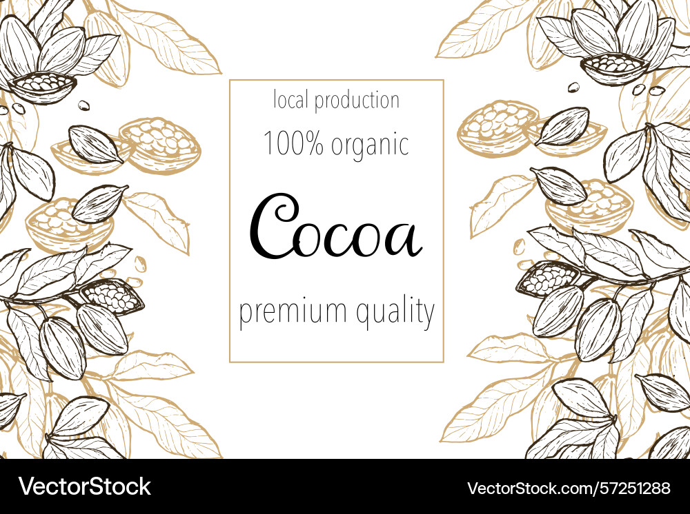 Elegant design featuring cocoa beans sketch Elegant design featuring cocoa beans sketch vector image