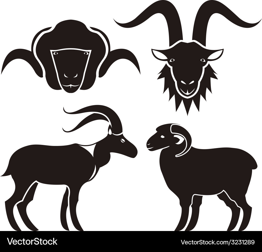 Goat and Sheep Head Silhouettes vector image