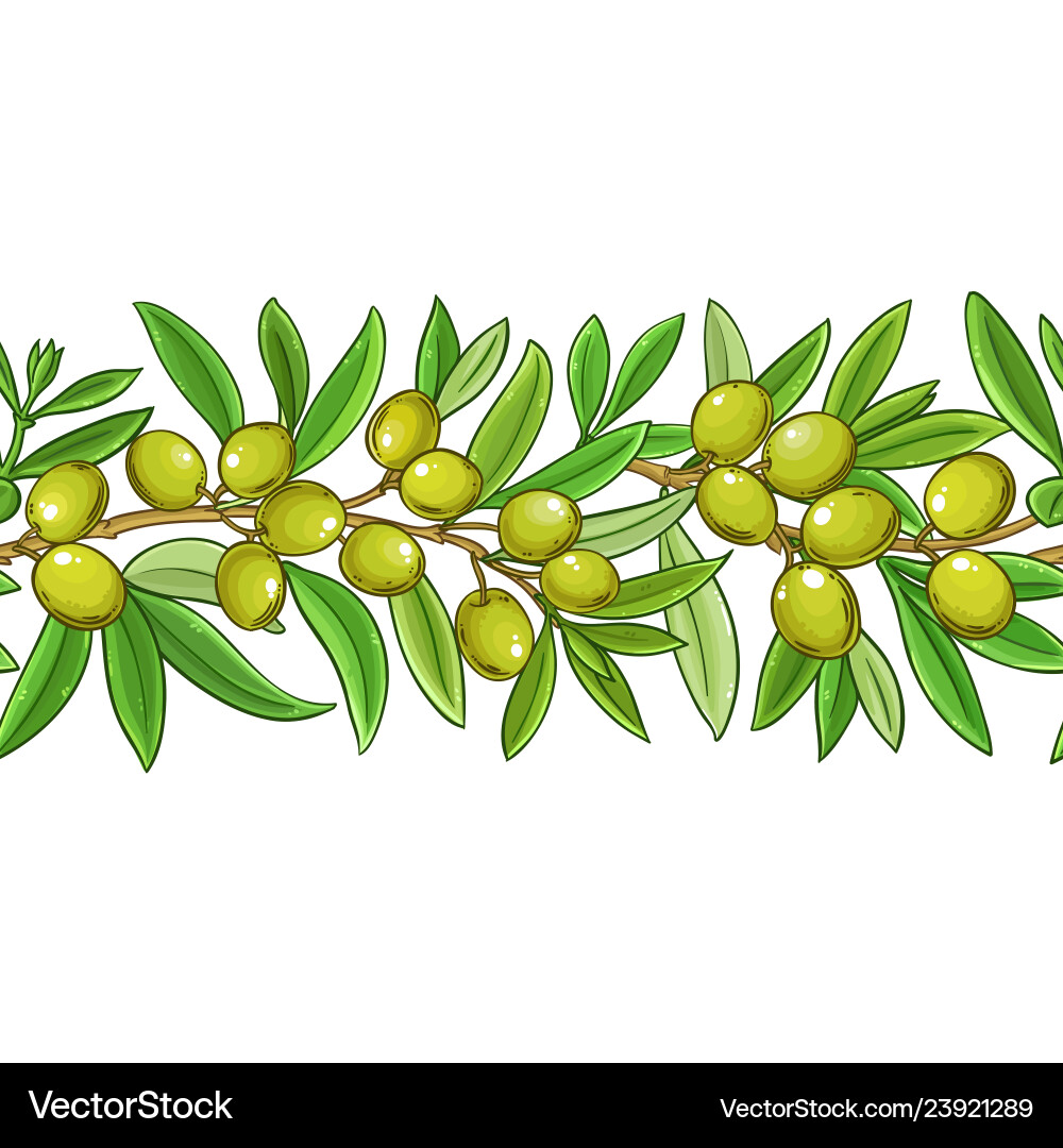 Olive branches pattern on color background Vector Image