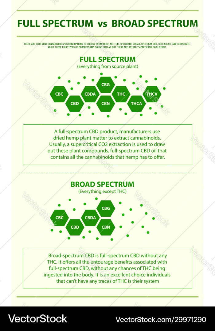 Full Spectrum vs Broad Spectrum CBD vector image