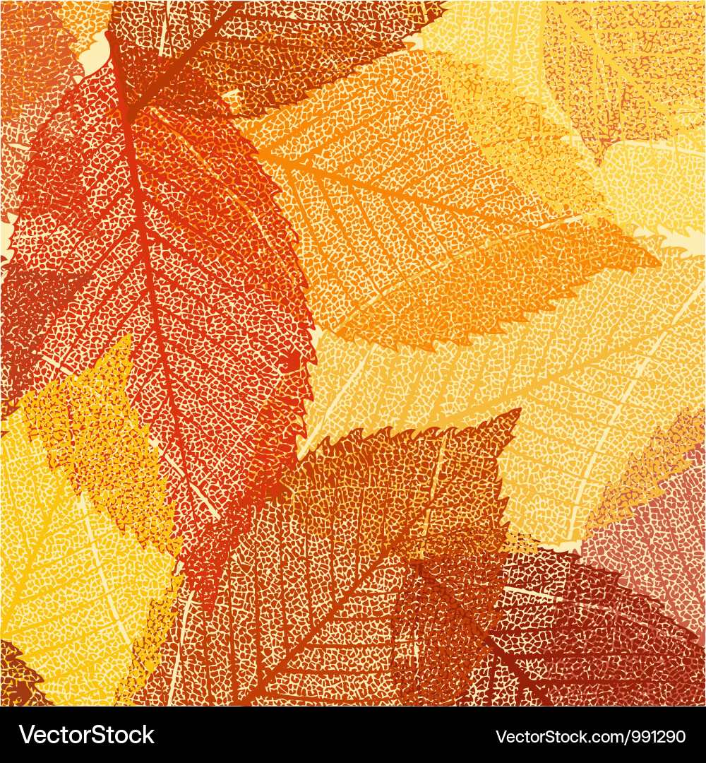 Herbst Blatt Textur Muster Vektorbild