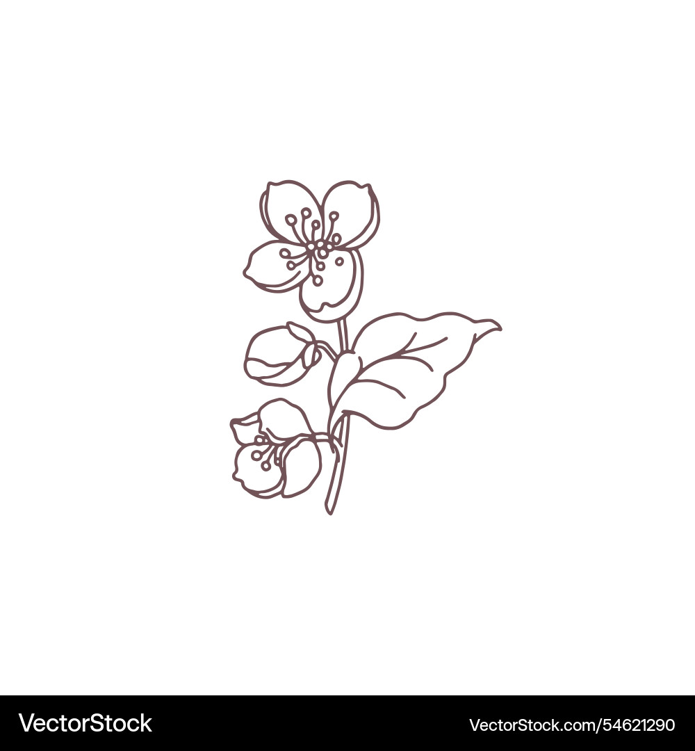 With the image of a sketch With the image of a sketch vector image