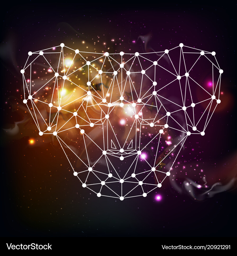 Abstract polygonal tirangle animal koala Abstract polygonal tirangle animal koala vector image