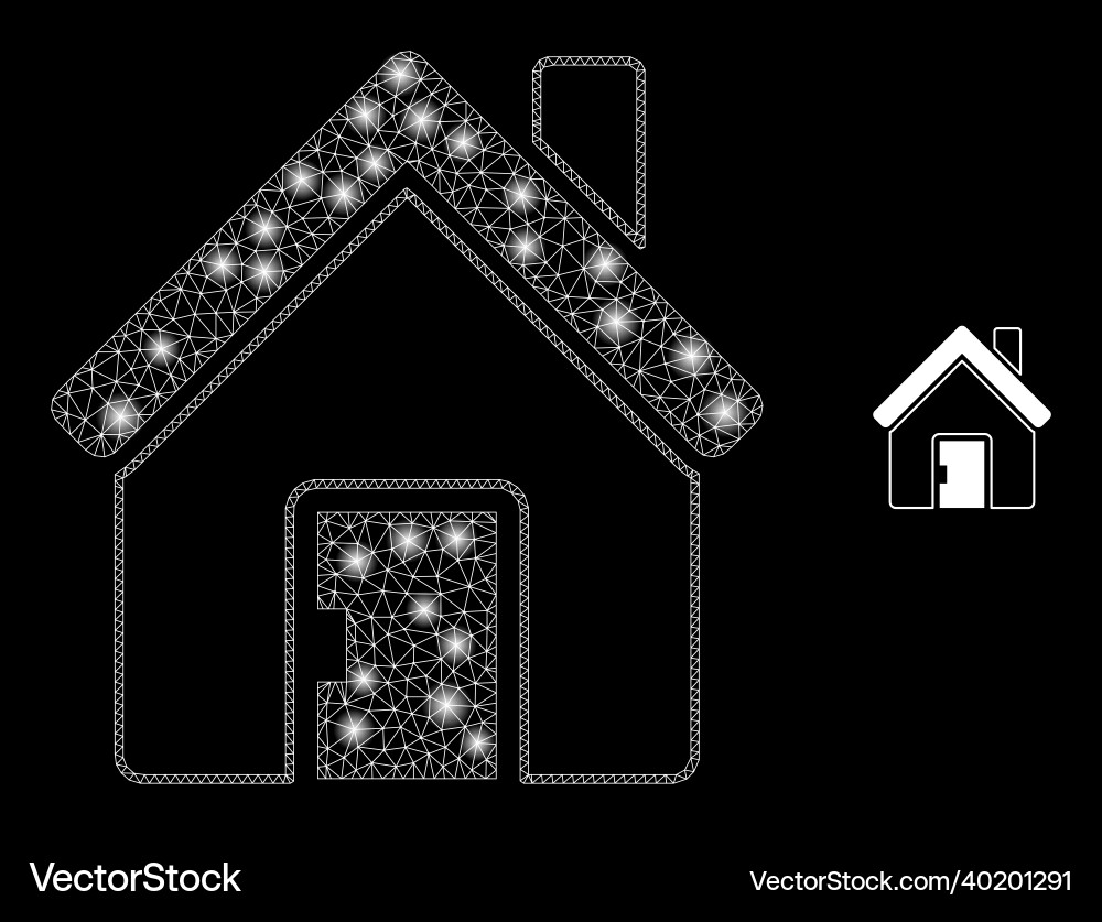 Mesh net home with magic network spots Mesh net home with magic network spots vector image