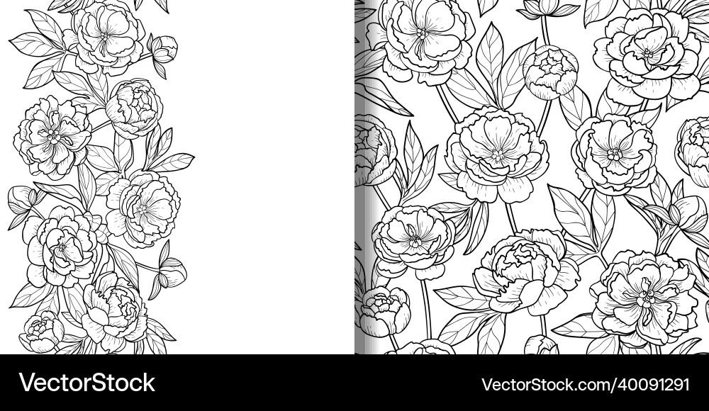 Peonies seamless pattern and border set Peonies seamless pattern and border set vector image