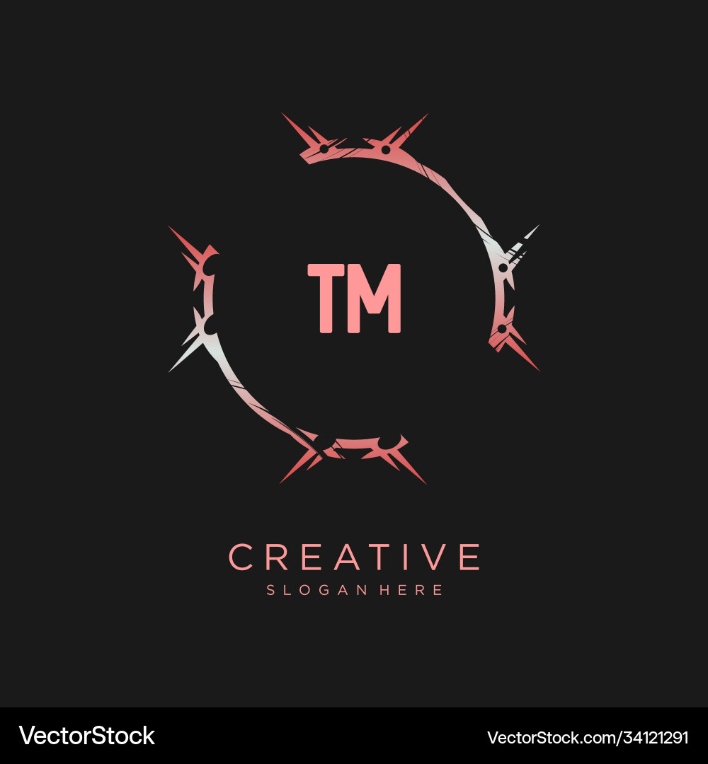 Tm initial logo with colorful template Vector Image