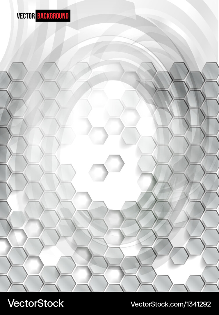 Abstract background hexagon web and design vector image