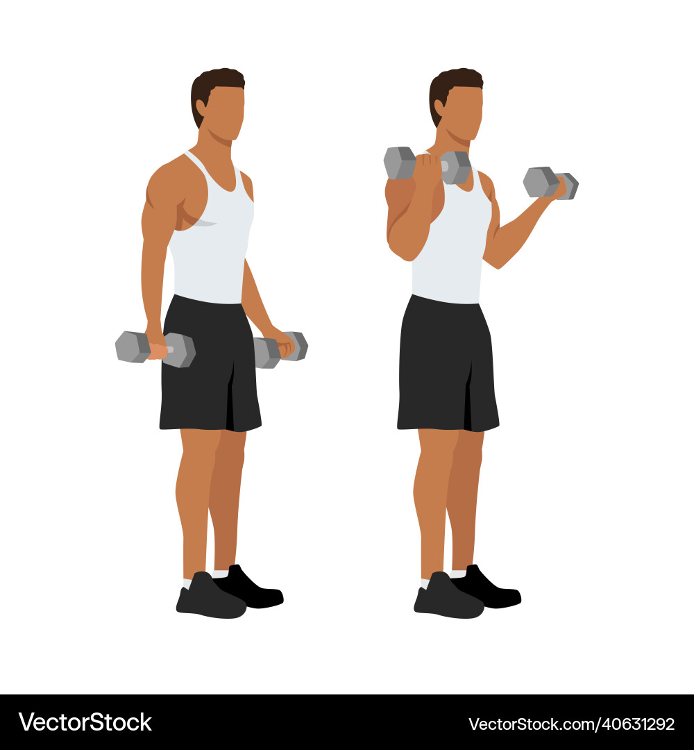 Man doing standing dumbbell bicep curls Vector Image