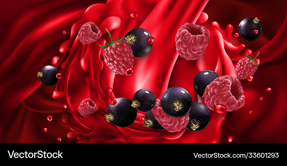 Black currant and raspberry in red fruit juice Black currant and raspberry in red fruit juice vector image