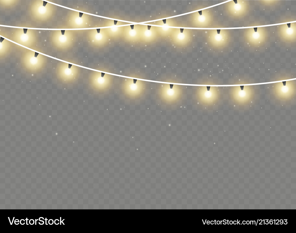 Christmas Lights Garland Vector Image