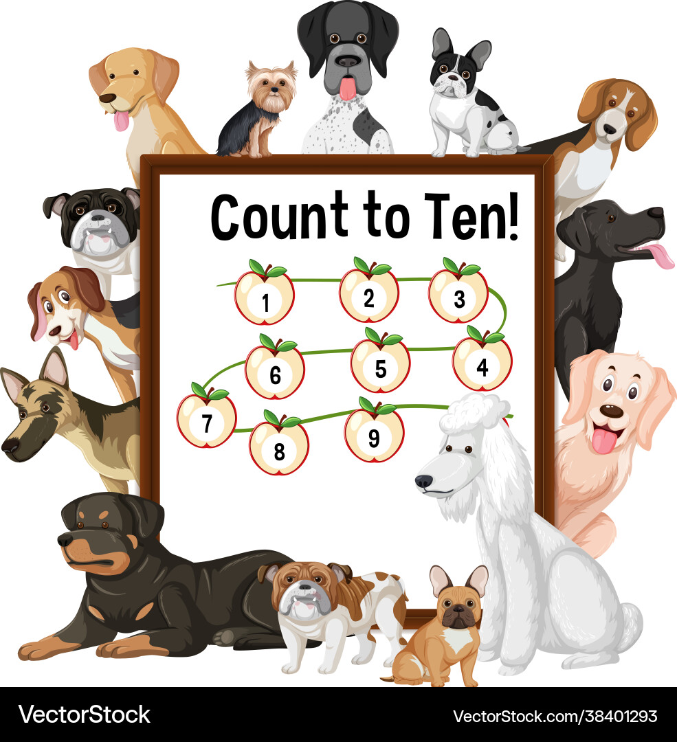 Count to ten board with many different types Count to ten board with many different types vector image