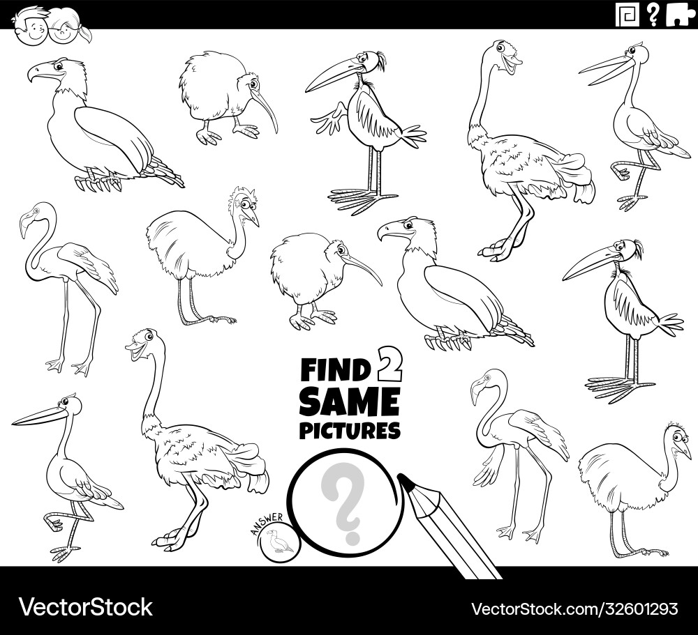 Find two same birds game coloring book page Find two same birds game coloring book page vector image