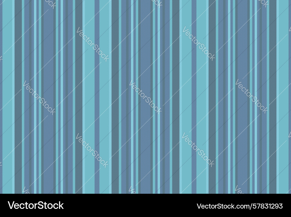 Tndependence day fabric pattern texture diagonal Vector Image
