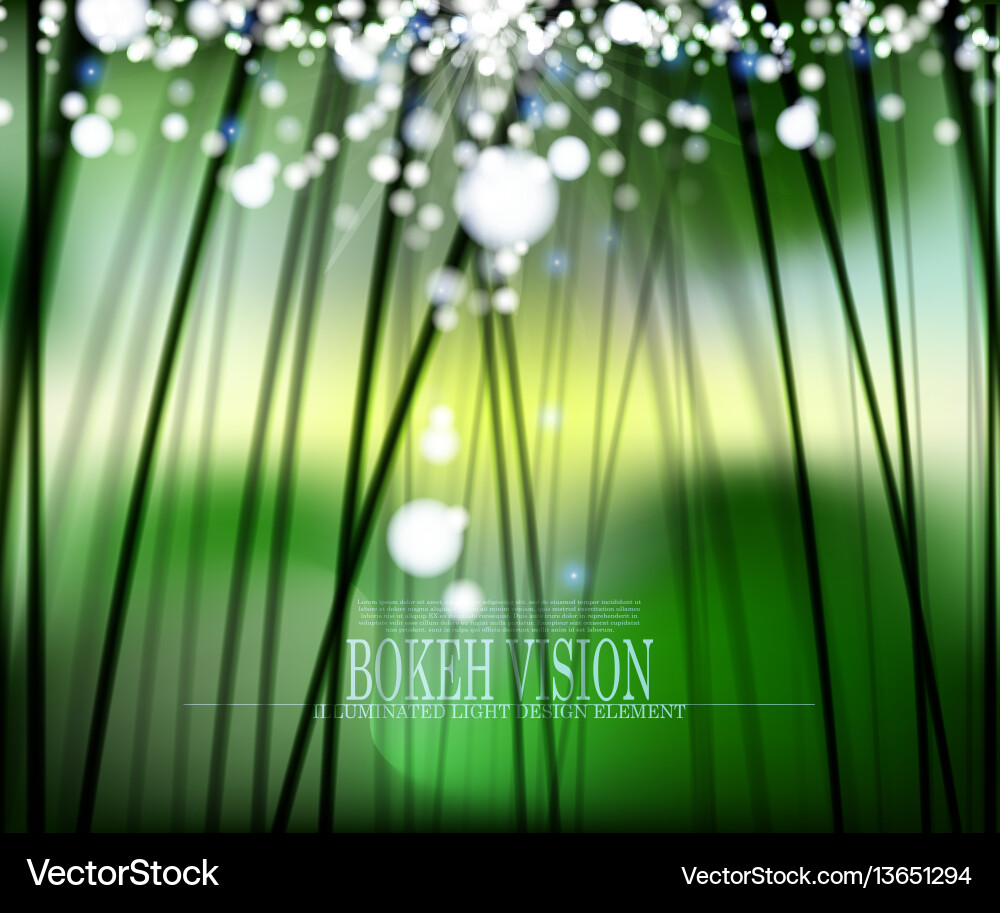 Abstract bokeh vision in the forest background vector image