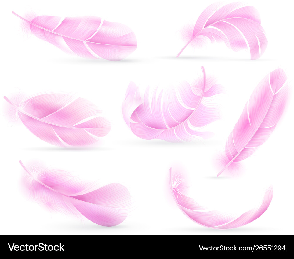 Rosa Federn Vogel oder Engel Federn Vögel Rosa Federn Vogel oder Engel Federn Vögel vektorbild