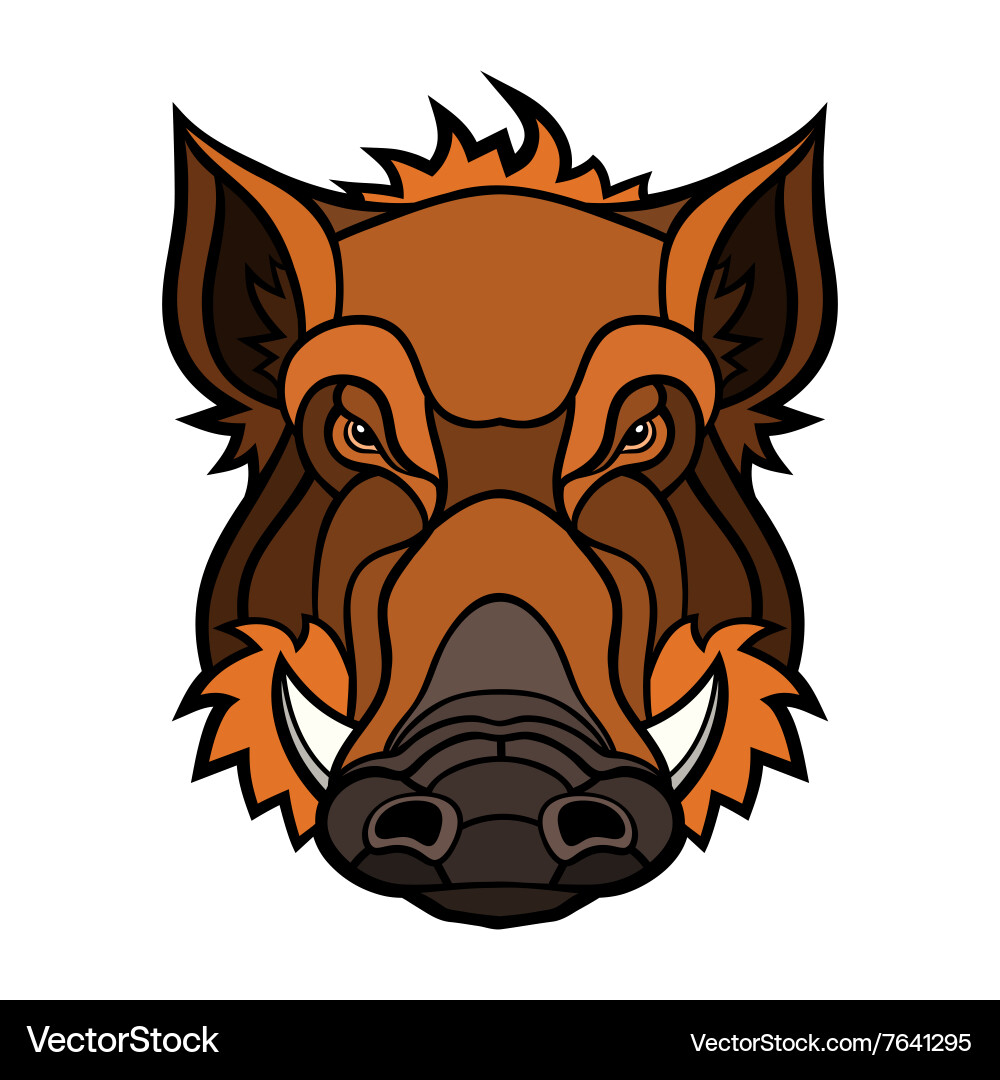 Head of boar mascot color design vector image