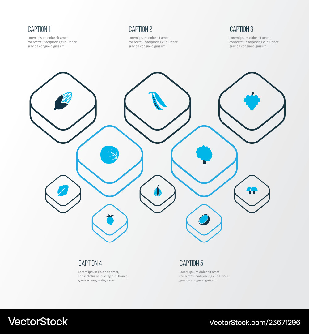 Fruit icons colored set with bunch raspberry Vector Image