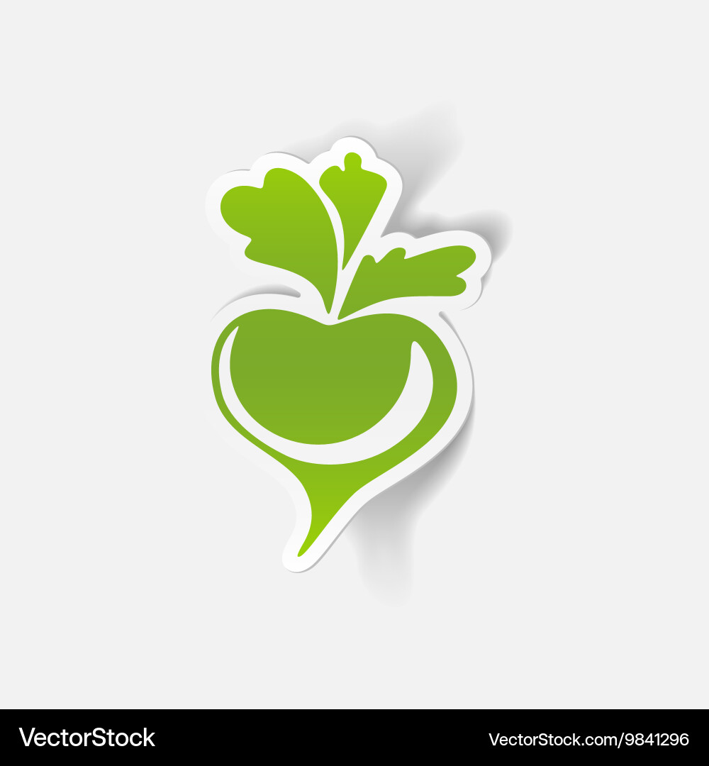 Realistic design element beet Vector Image