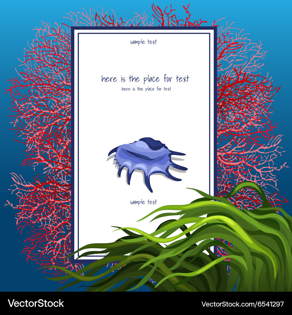 Texture of seashell with algue and vertical card vector image