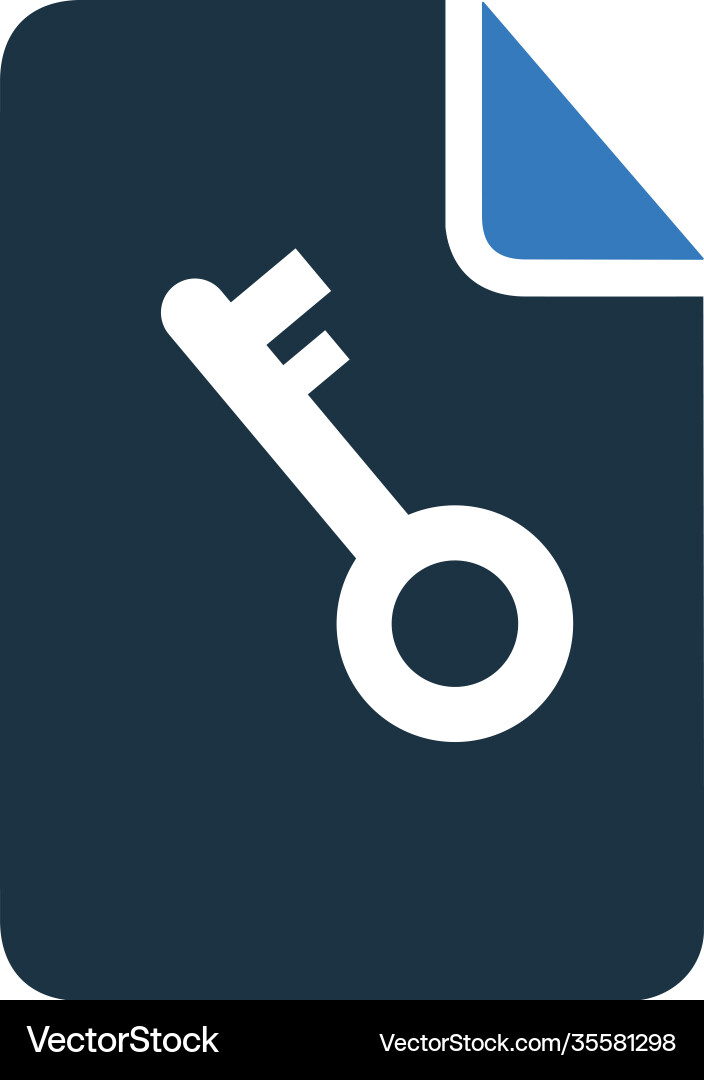 Document key icon graphics vector image