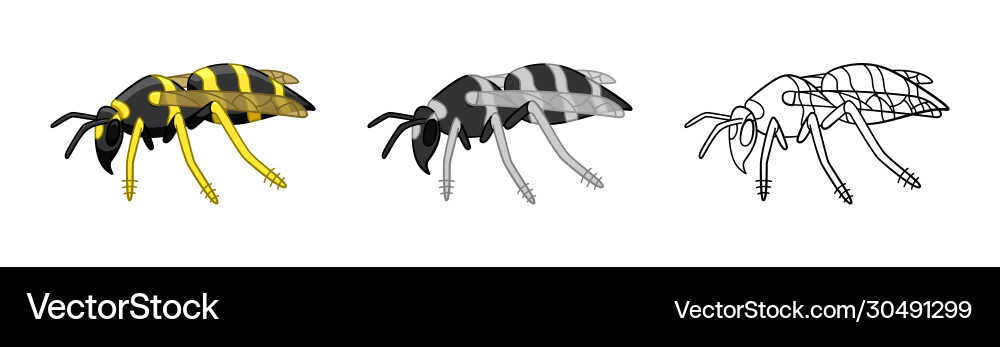 Side view wasps set in different styles isolated Side view wasps set in different styles isolated vector image