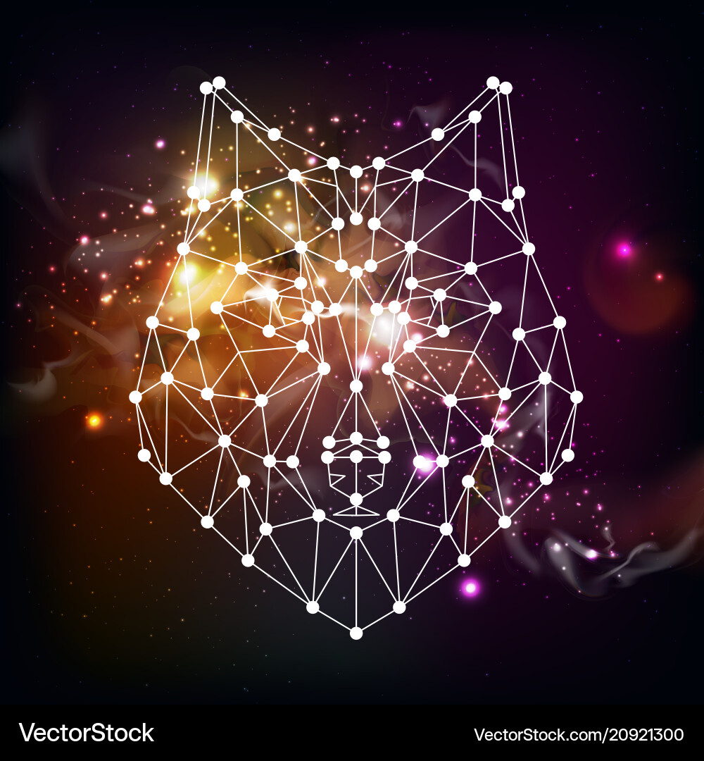 Abstract polygonal tirangle animal wolf Abstract polygonal tirangle animal wolf vector image
