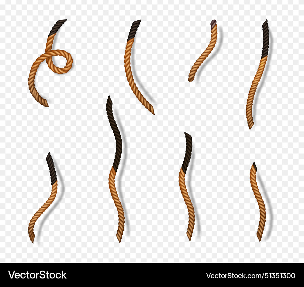 Burnt fuse wick rope from dynamite or bomb Vector Image